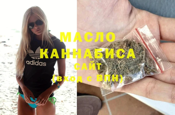 твердый Туринск