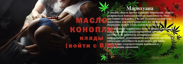 твердый Туринск