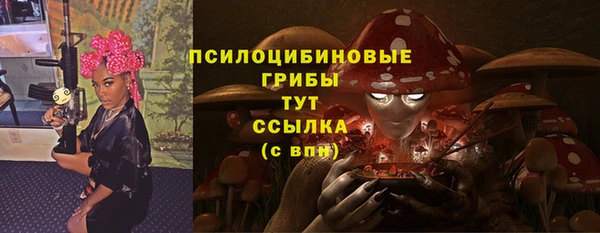 твердый Туринск