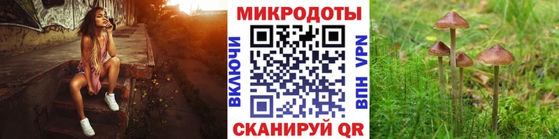 Галлюциногенные грибы прущие грибы  Вяземский 